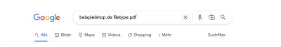 PDFs mit Google suchen