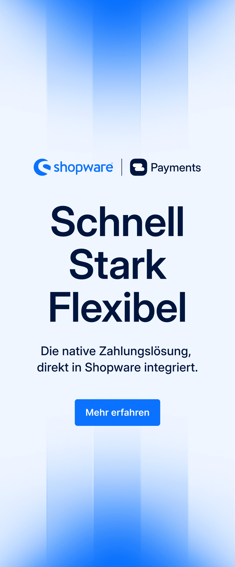 Blog Banner 2 (DE) - Shopware Payments Launch