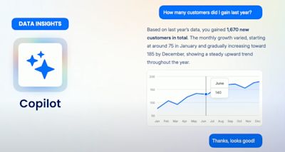 Shopware Copilot – Data insights