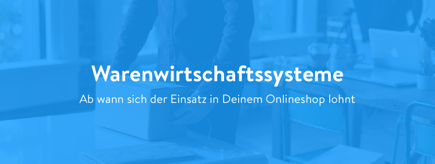 Die Pickware Warenwirtschaft in Shopware 6: Erhalte Insides im Webinar