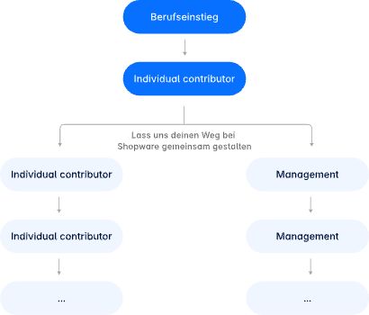 Infografik des Career progression frameworks