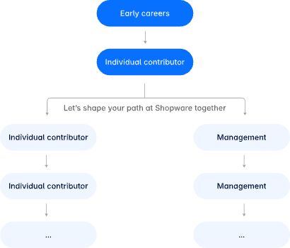 Info graphic of the career progression framework