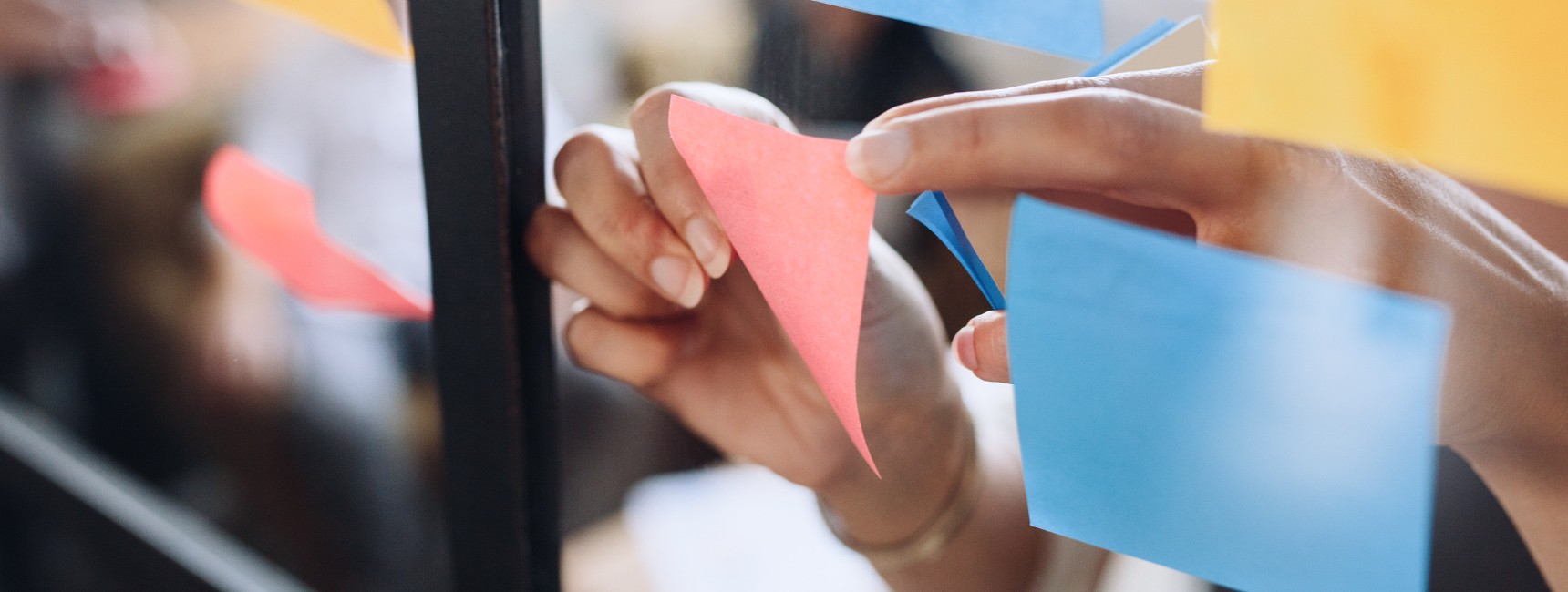 Ecommerce software compared: Which solution is right for your business?
