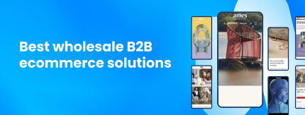 Best wholesale B2B ecommerce solutions in 2024