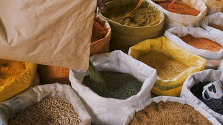 Una varietà di legumi e cereali secchi colorati esposti in sacchi, con qualcuno che versa altre lenticchie verdi in uno dei sacchi.