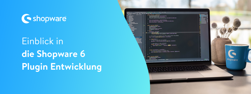 Einblick in die Shopware 6 Plugin-Entwicklung