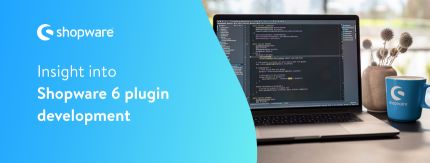 Insight into Shopware 6 plugin development