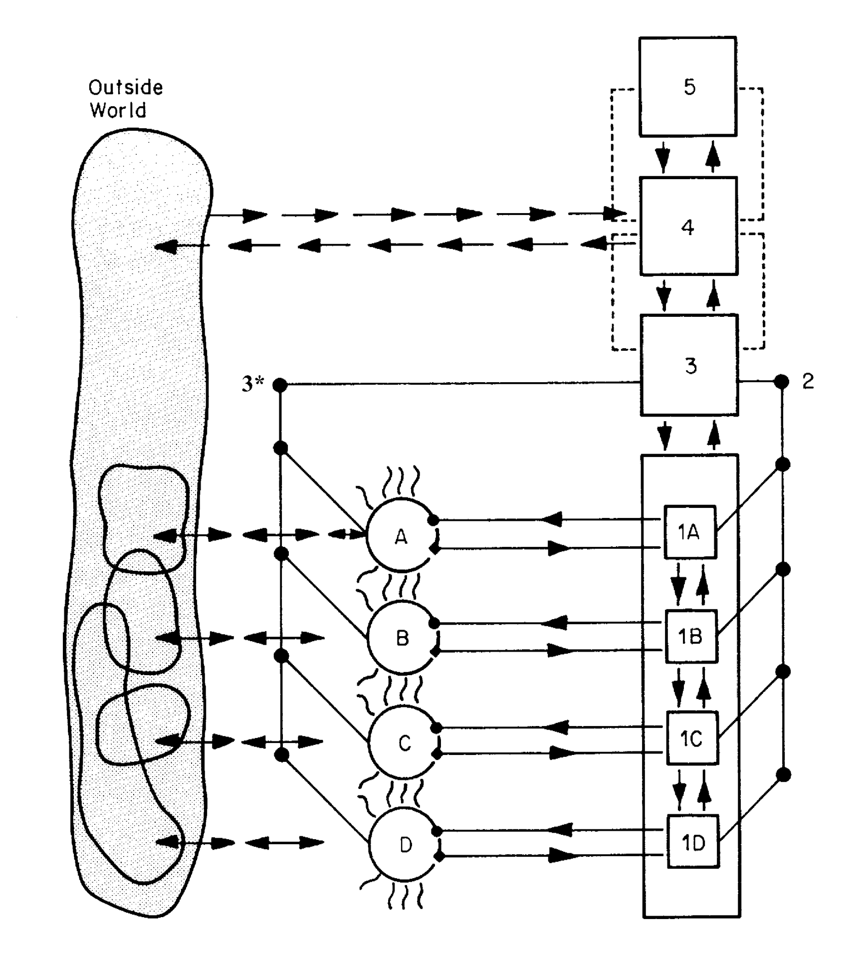 a viable system model diagram