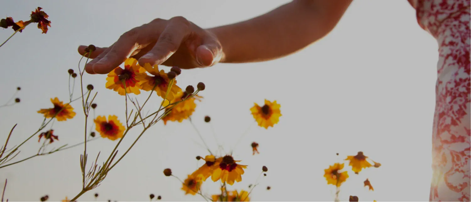 Our Impact Flowers