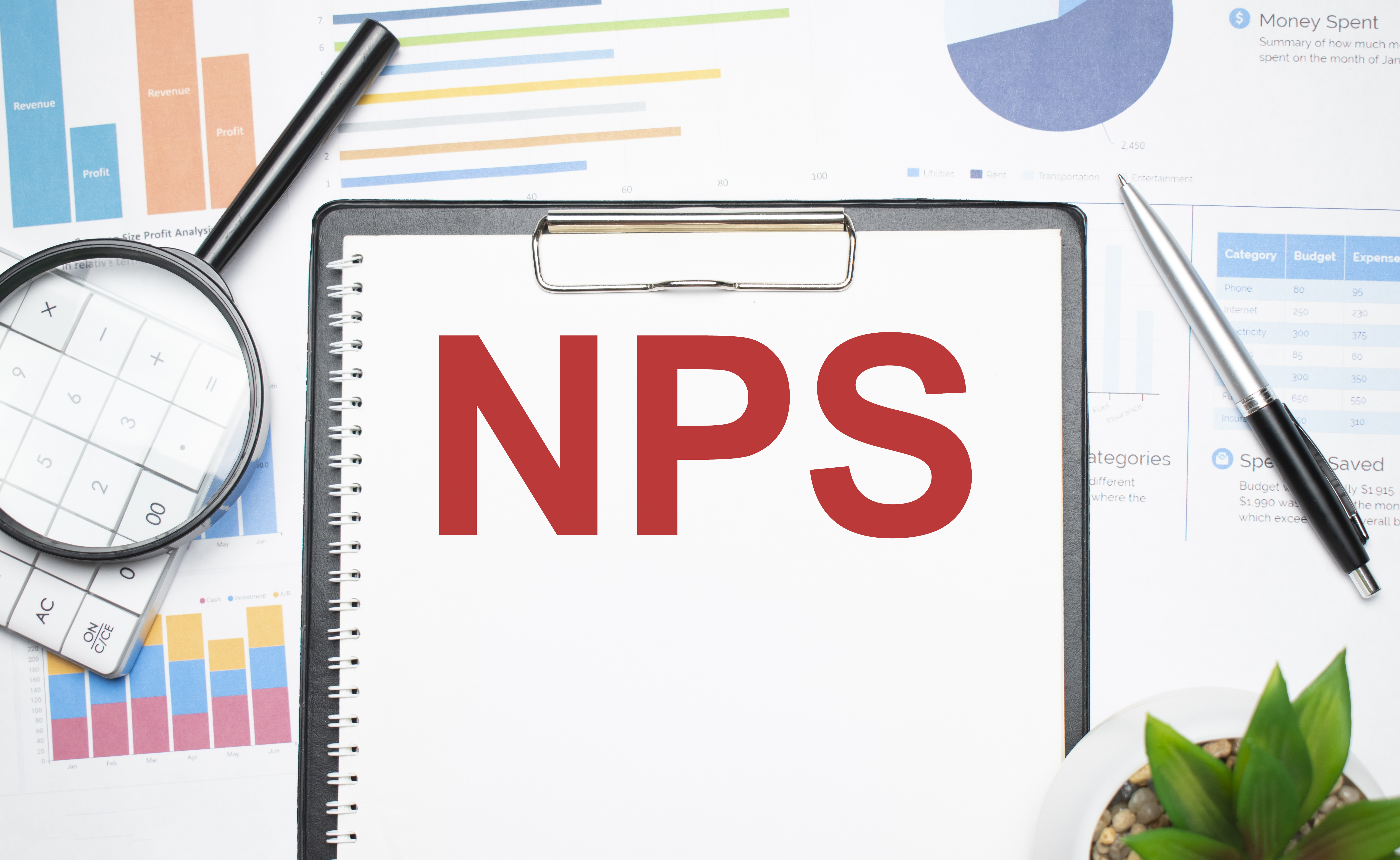 nps-information-closeup-business-finance-concept