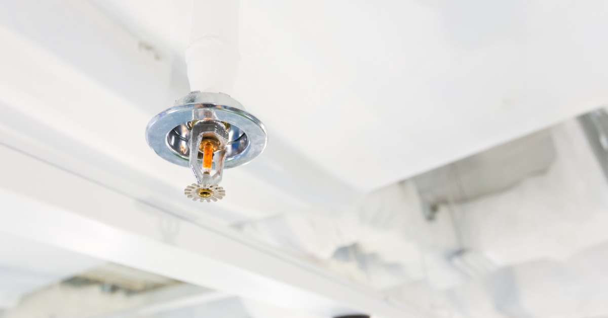 Close-up of a fire sprinkler head sticking out of a solid-white ceiling. It has an orange glass bulb inside.