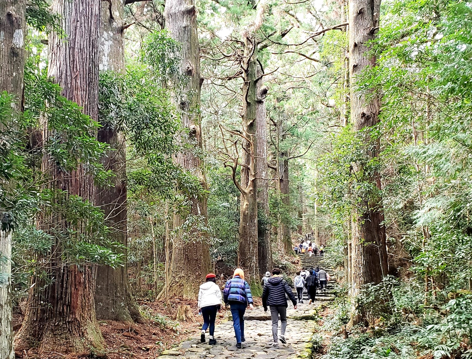 山川異域、唐宋蹤跡——紀伊山地古都行