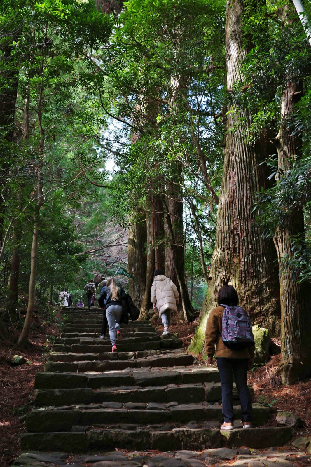 山川異域、唐宋蹤跡——紀伊山地古都行