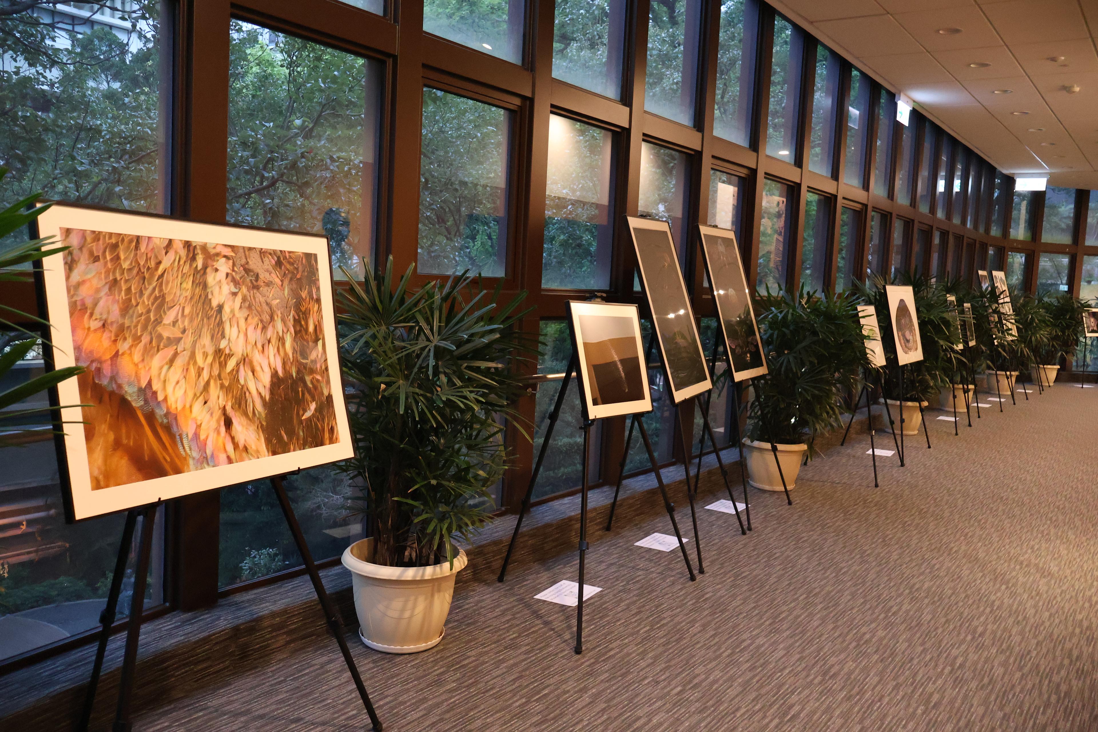 Visions of a Vanishing World: A Photographic Odyssey Through Nature’s Hidden Treasures