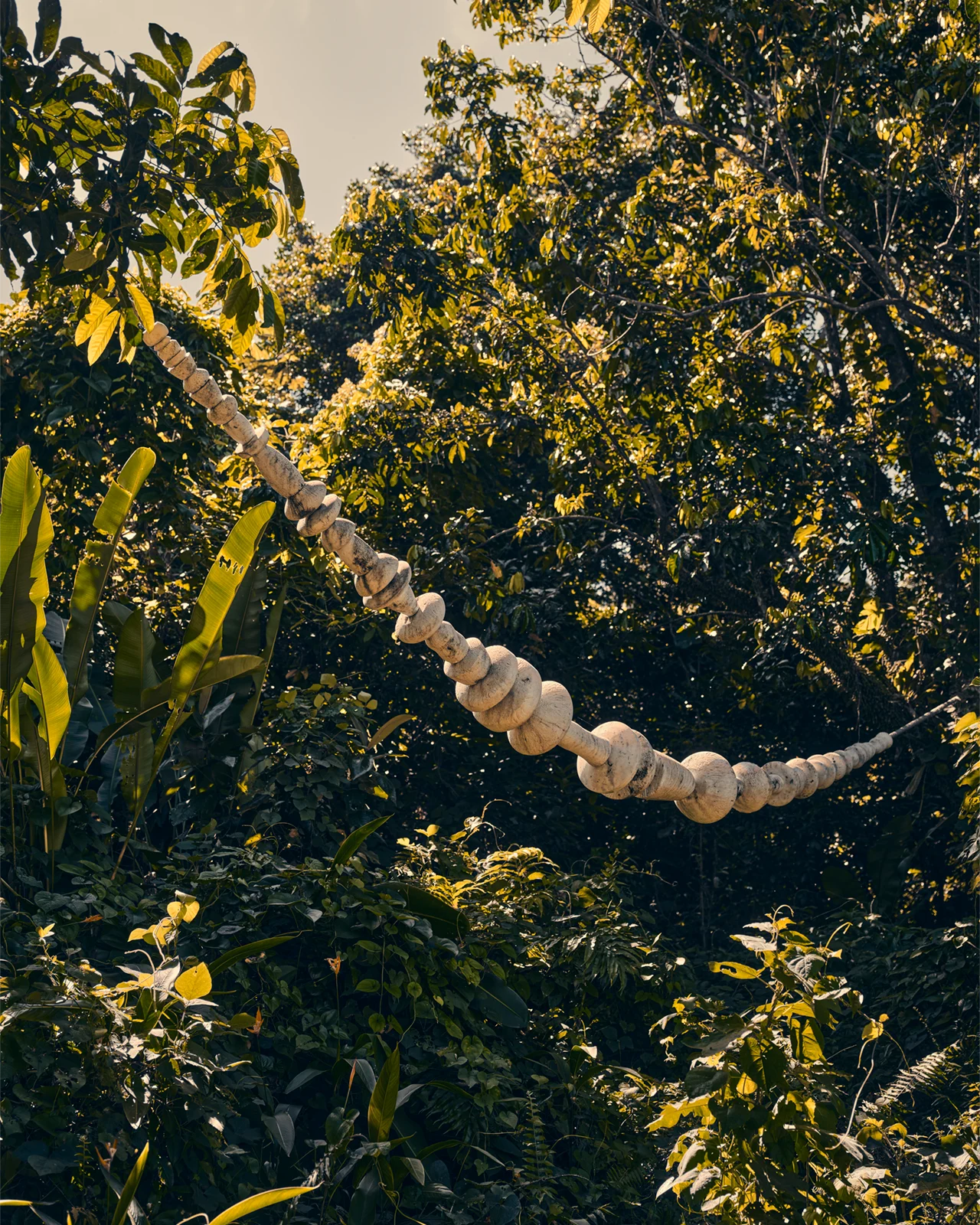 Mellon ElYunque 0306 1280x1600