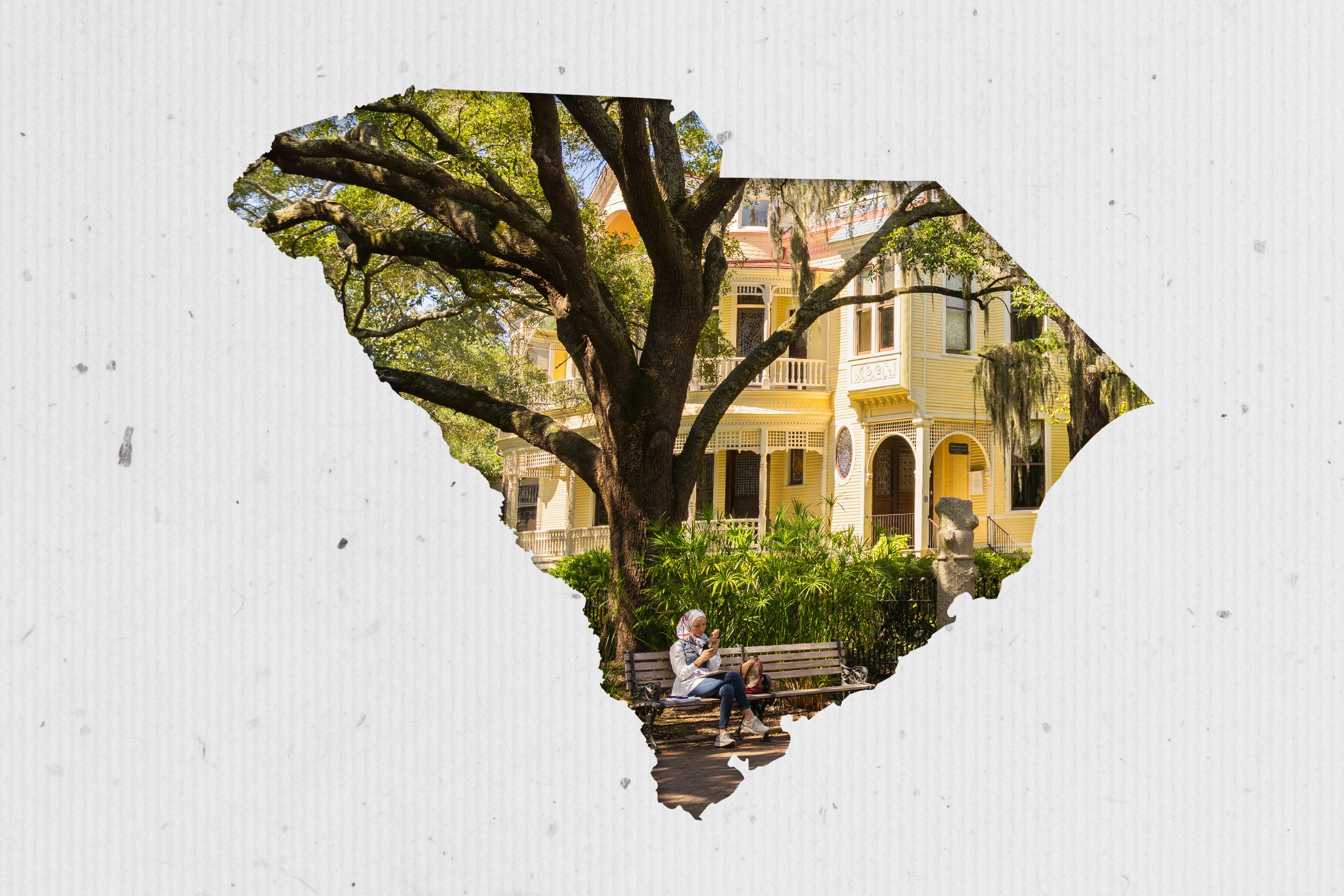 A building in Charleston South Carolina with a person sitting beneath a tree on a bench outside of it