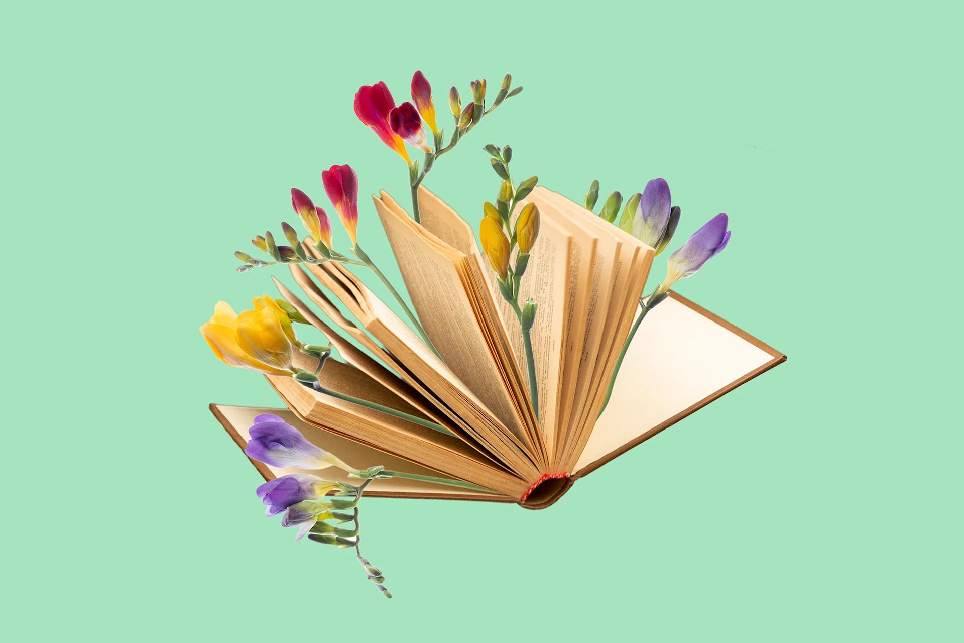 History and Founders of the Mellon Foundation