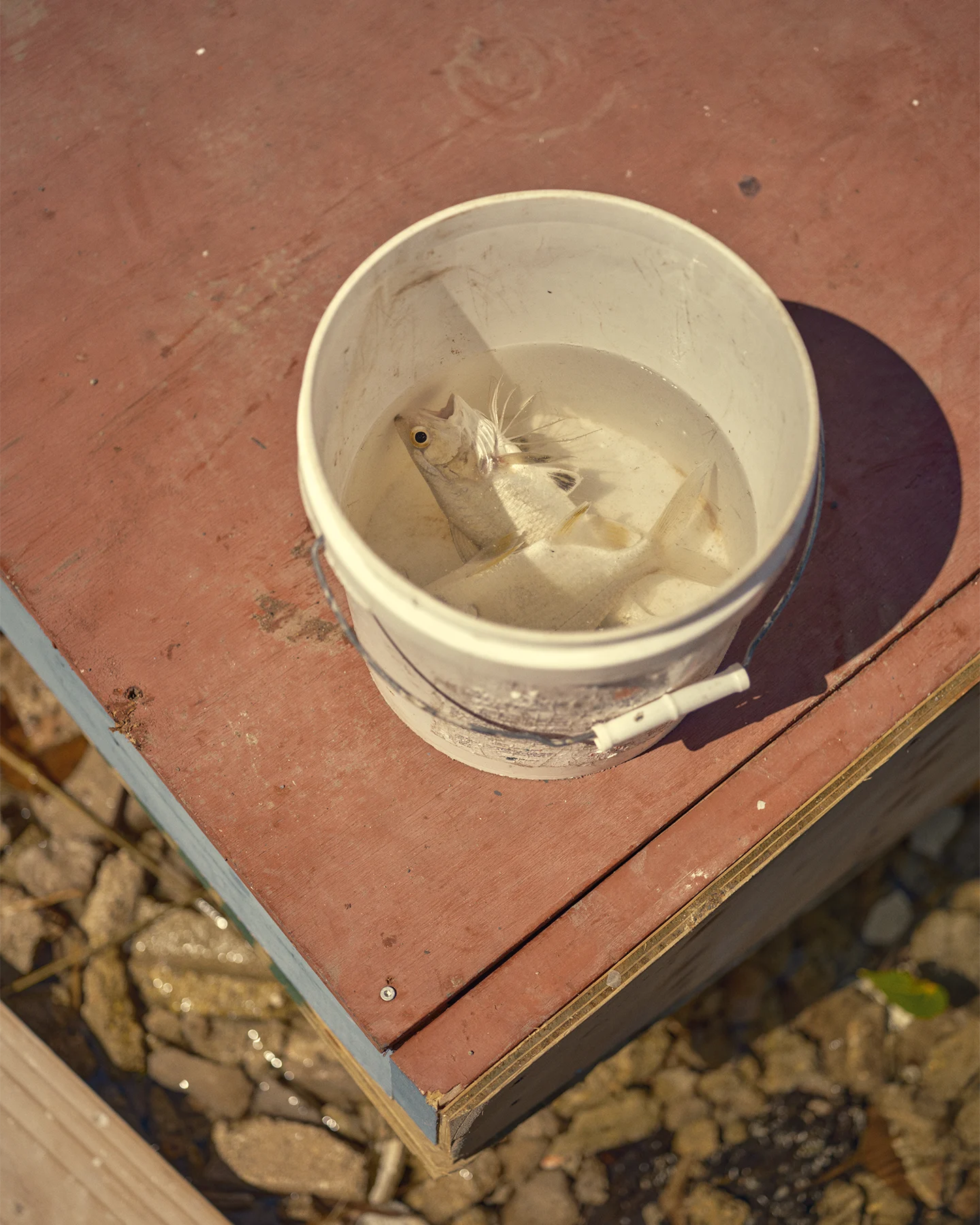 ElAncon 0742 1440x1800