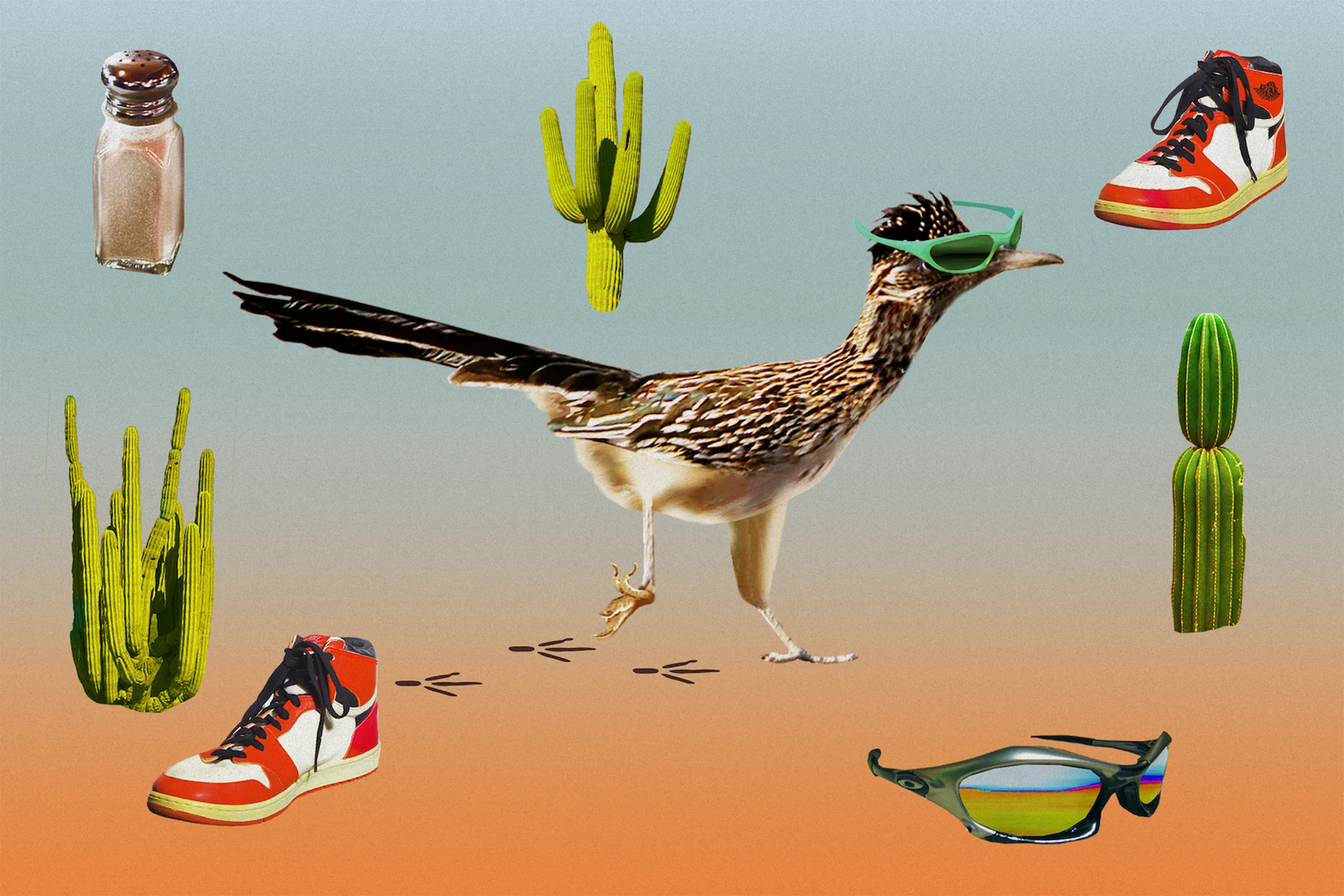 Greater Roadrunner bird