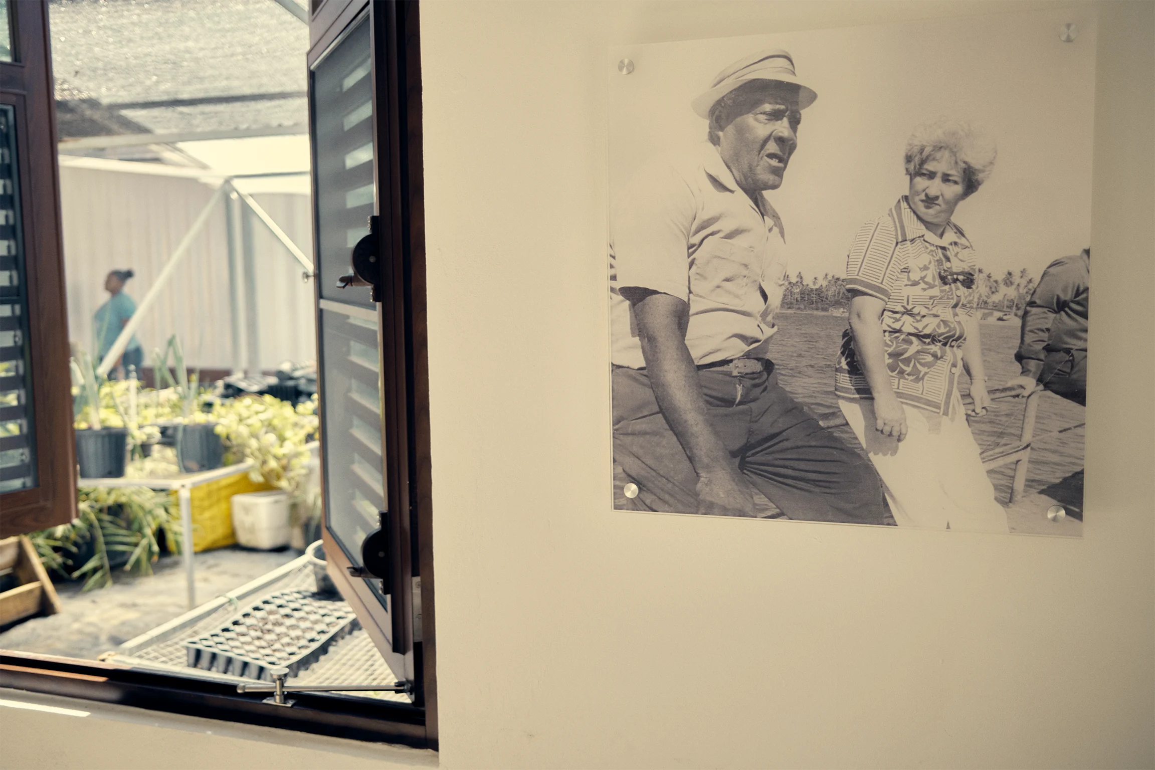 ElAncon 0186 2304x1536