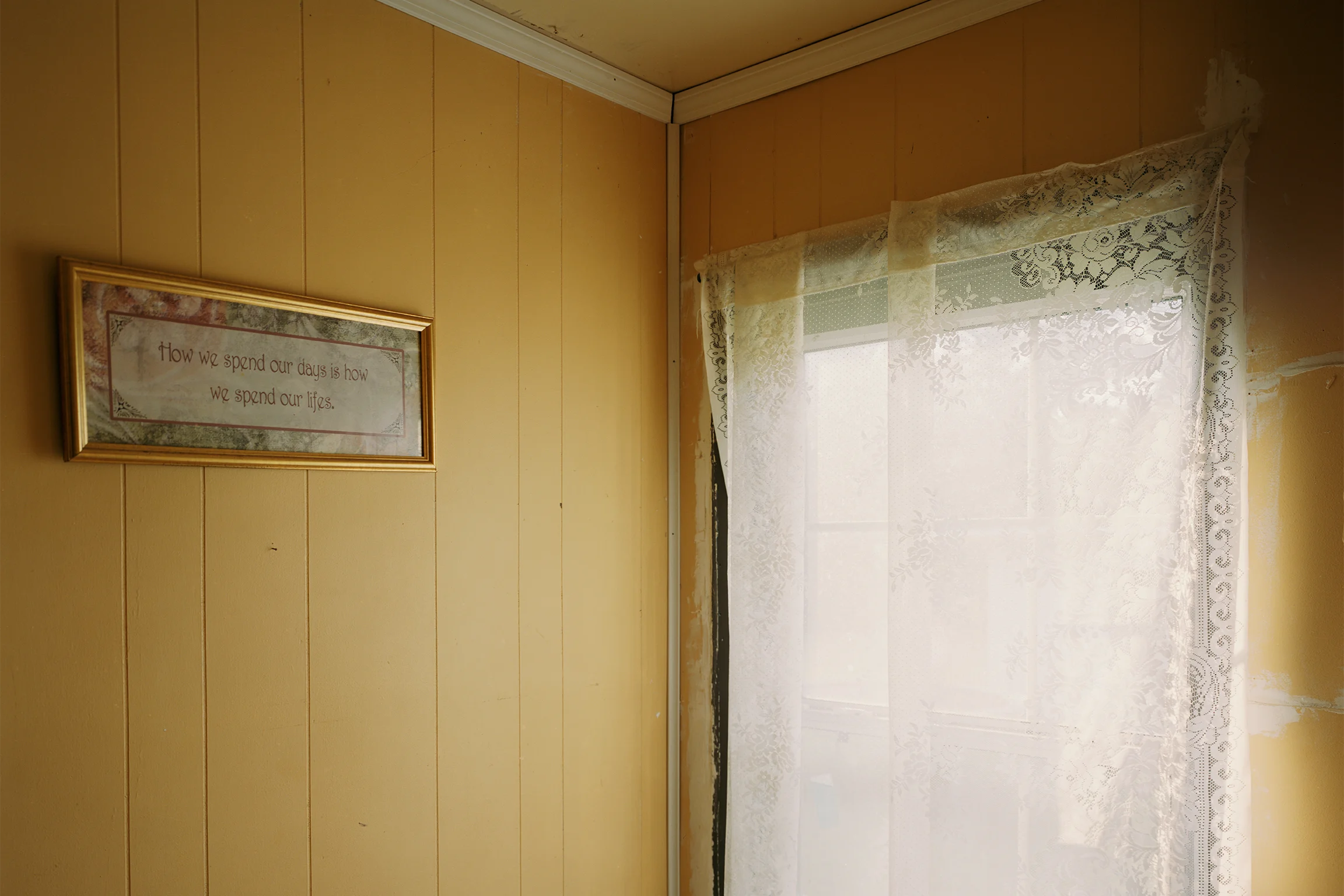 Window and curtains at Felix Dunn House
