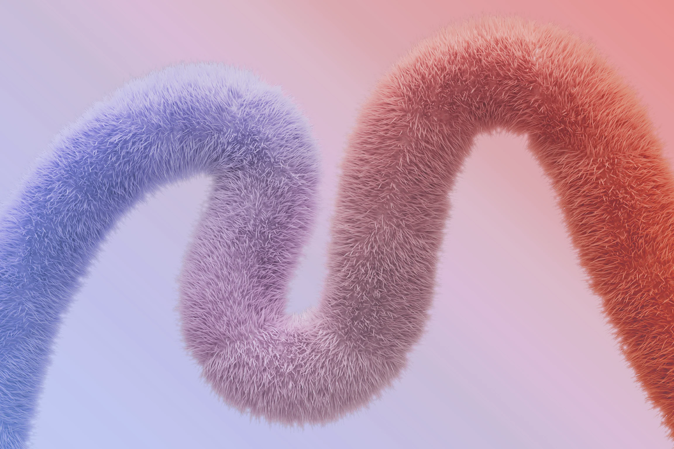 Comms MAnnouncements 2304x1536 6