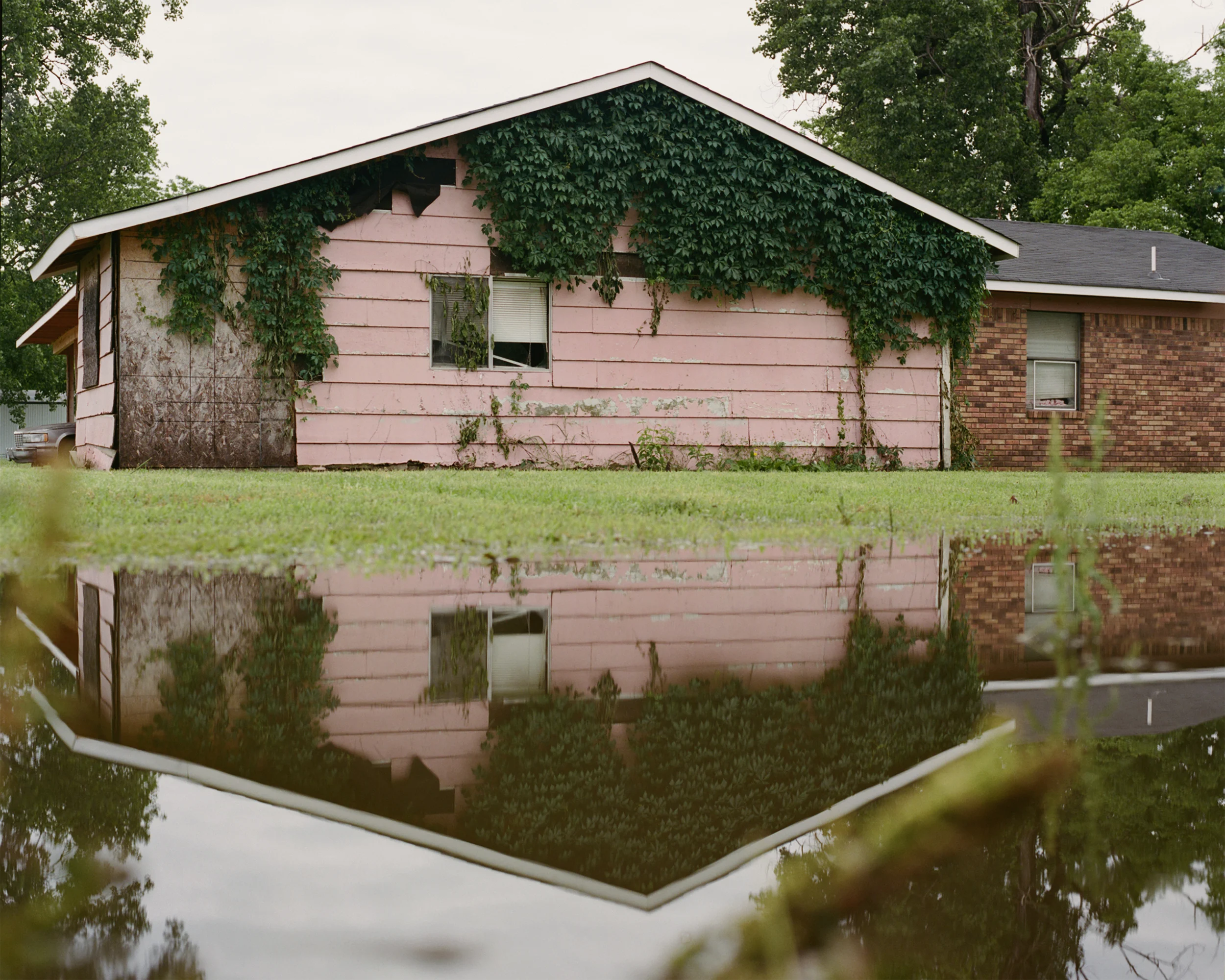 An old pink house partially covered in vines is reflected in a large puddle on the grass.