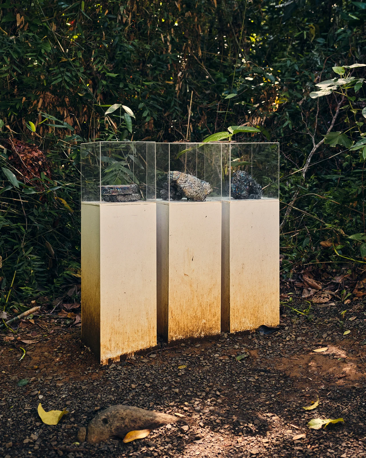 Mellon ElYunque 0127 1280x1600