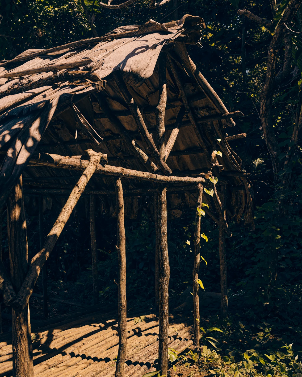 Mellon ElYunque 0427 1280x1600