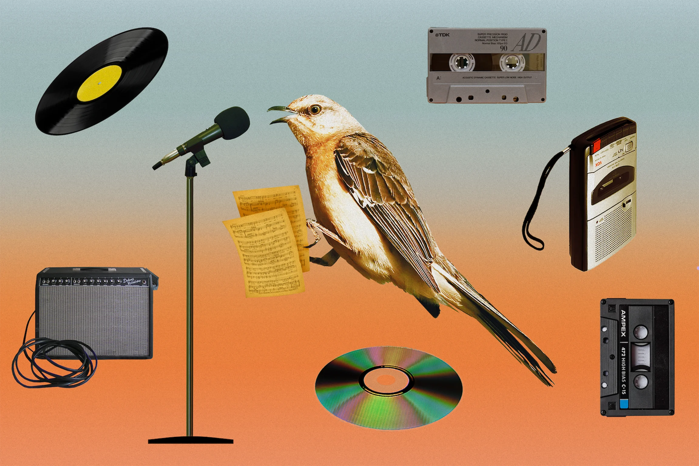 Northern Mockingbird