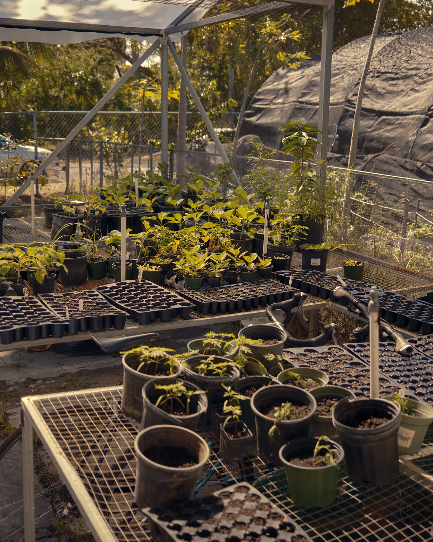 ElAncon 0182 1440x1800