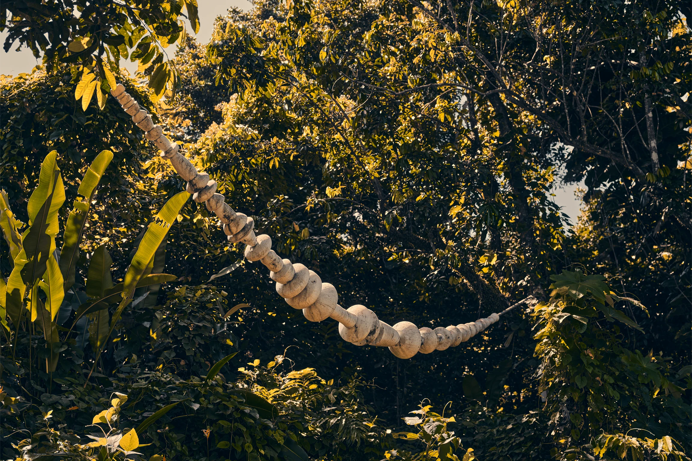 Mellon ElYunque 0303 2304x1536