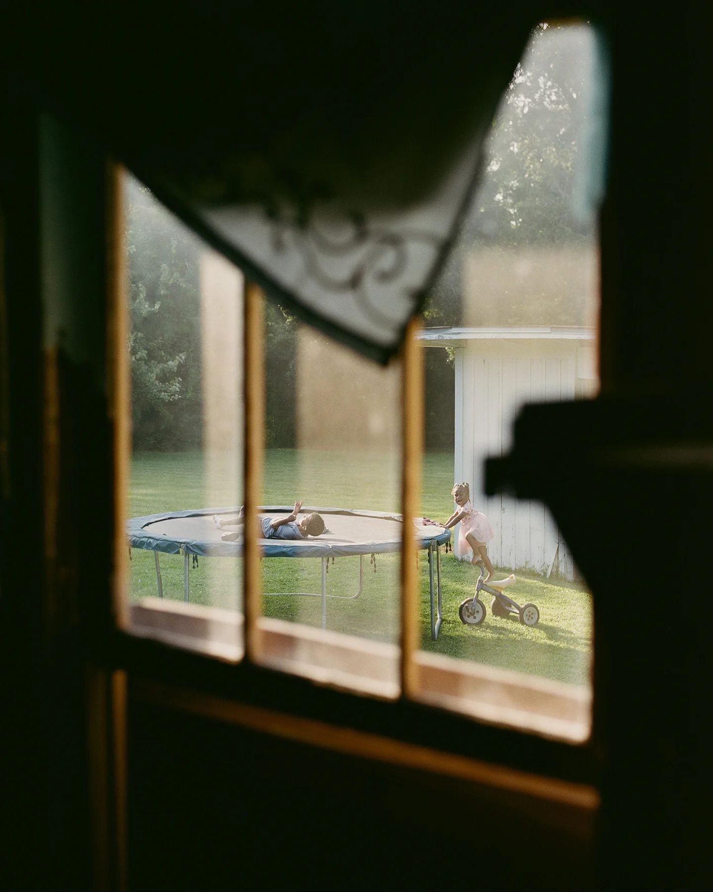 View out the window into the yard at Felix Dunn House