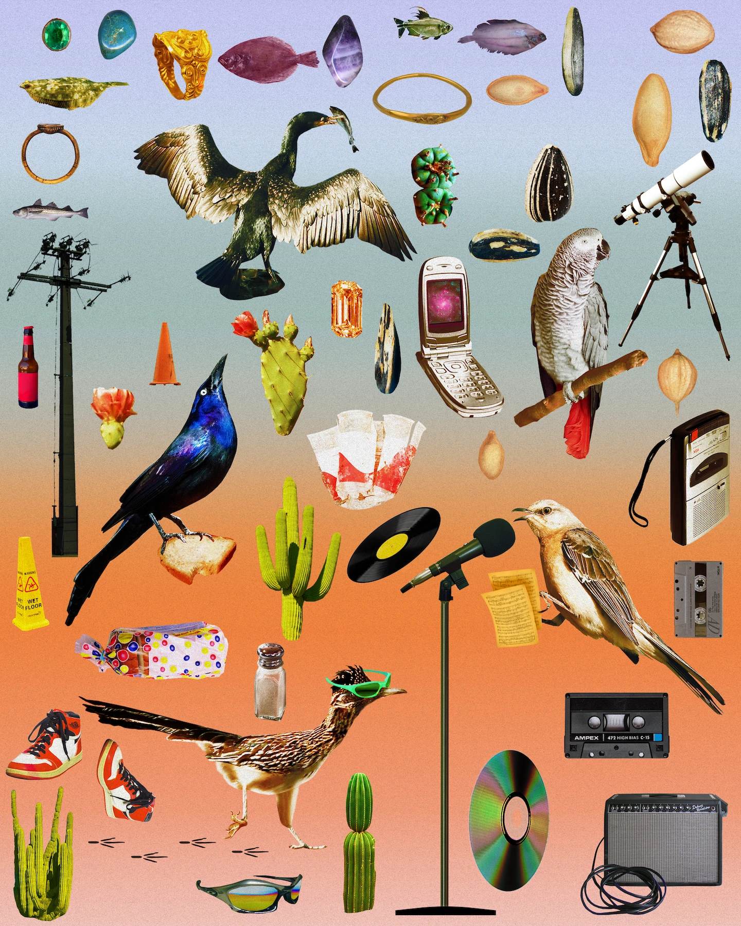 A multicolored collage with birds and media albums scattered throughout