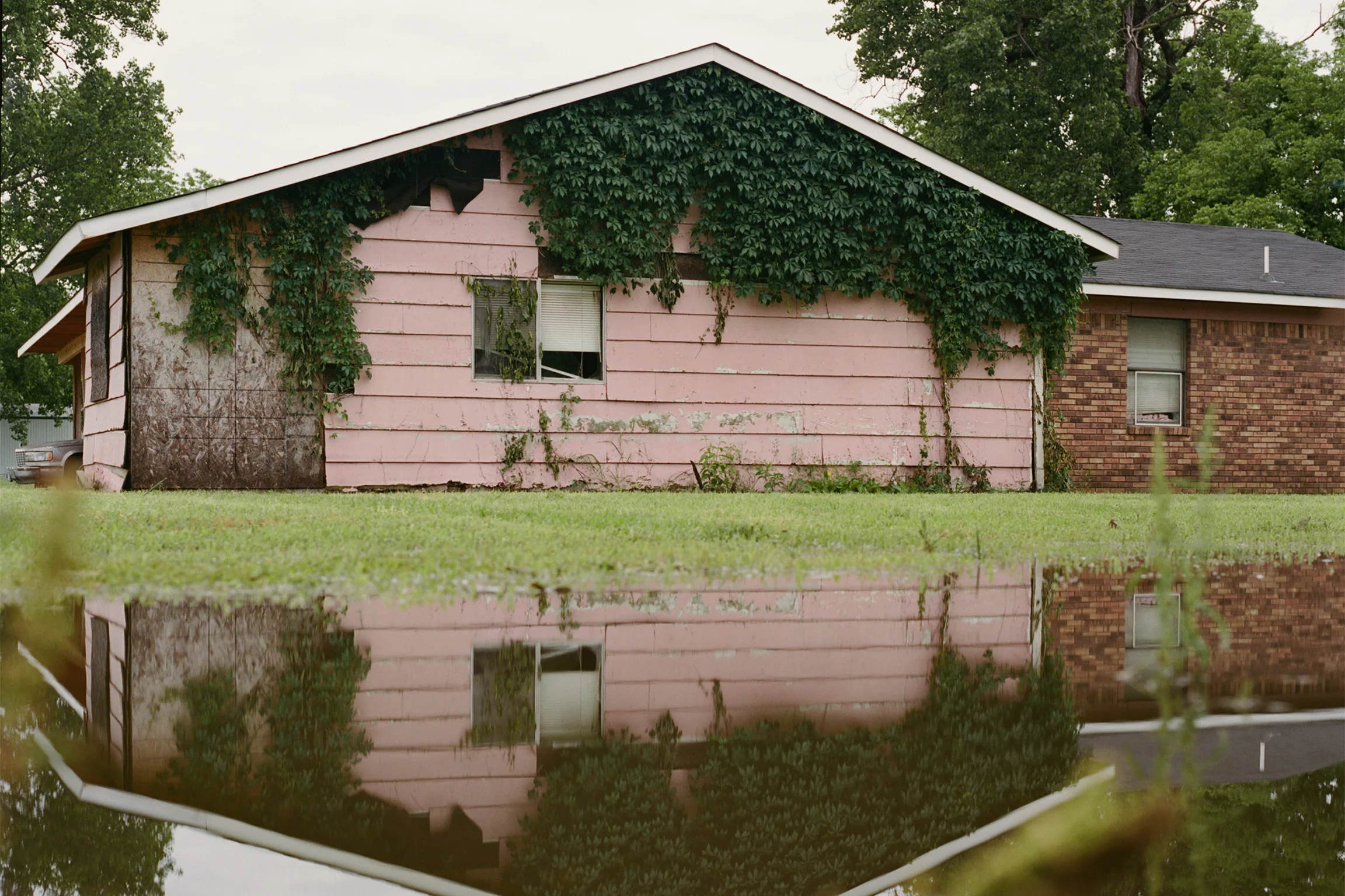 A weathered pink house with peeling paint is partially covered in overgrown ivy. A single broken window is visible, and the ground in front reflects the building in a large puddle, suggesting recent rain or flooding.