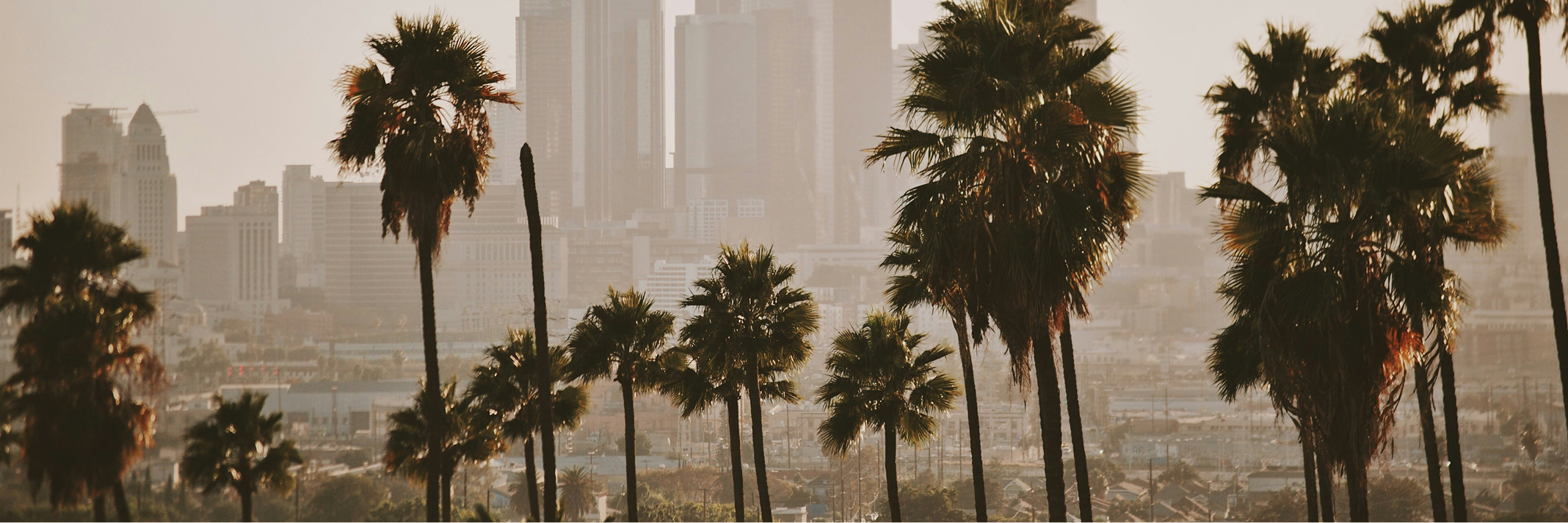 banner image