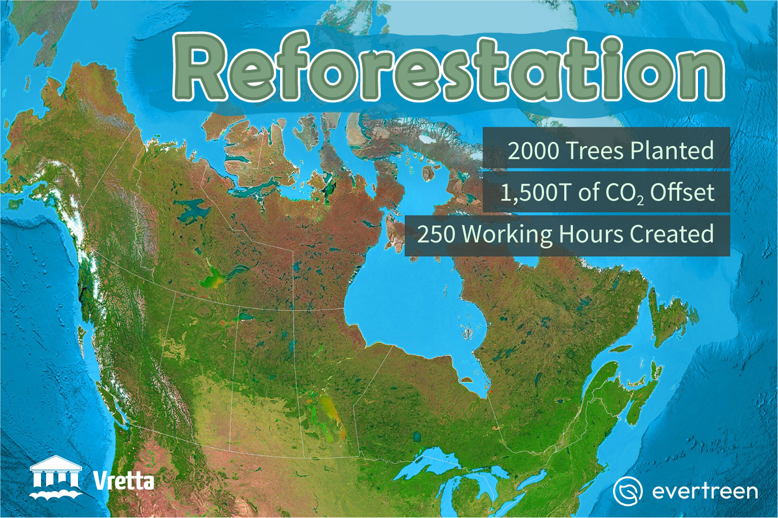 Reforestation Vretta