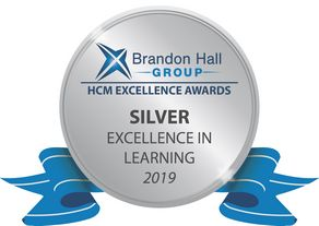 Brandon Hall Excellence Award