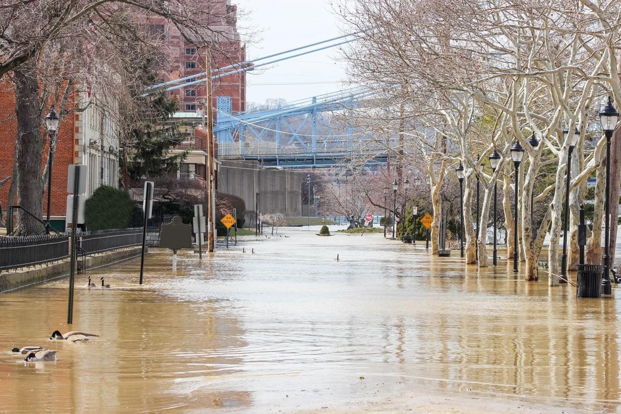 Flooded Street