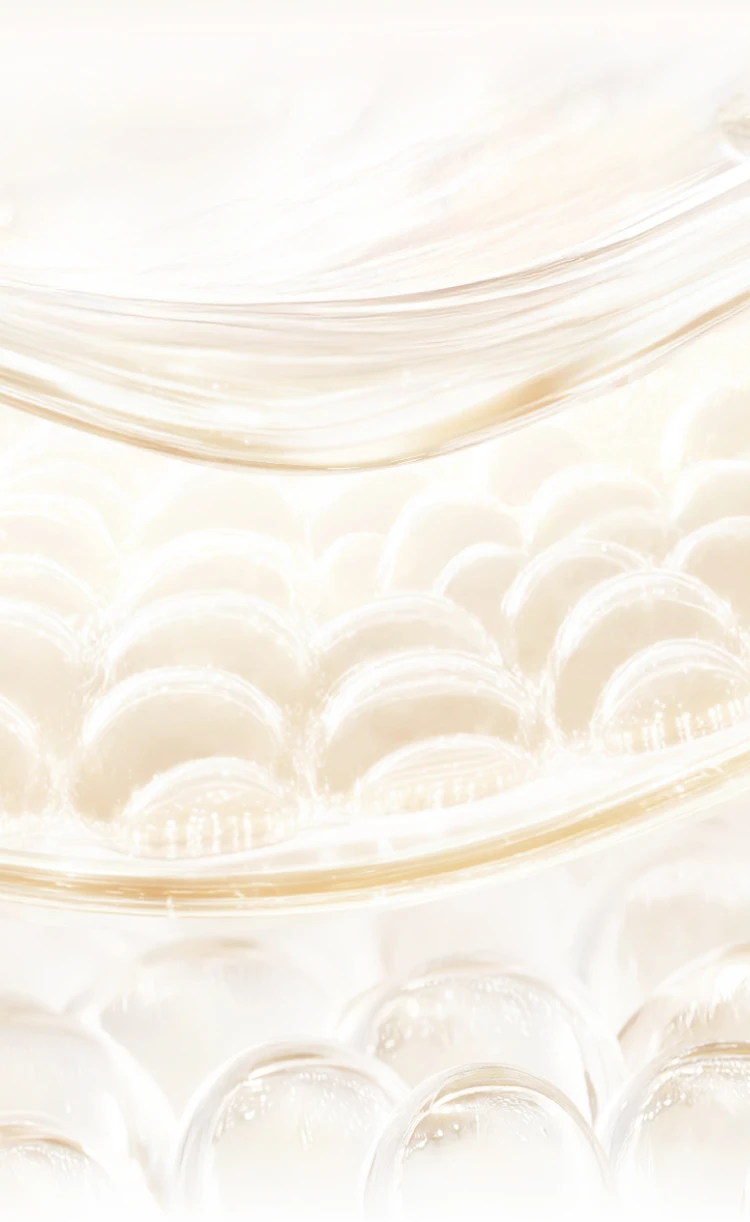 PED - PITERA™ Layer - BG Image