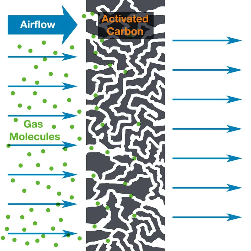 Carbon-Filtration.jpg