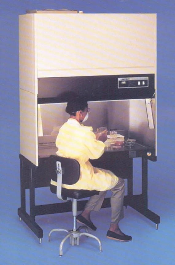 Designing Around the User