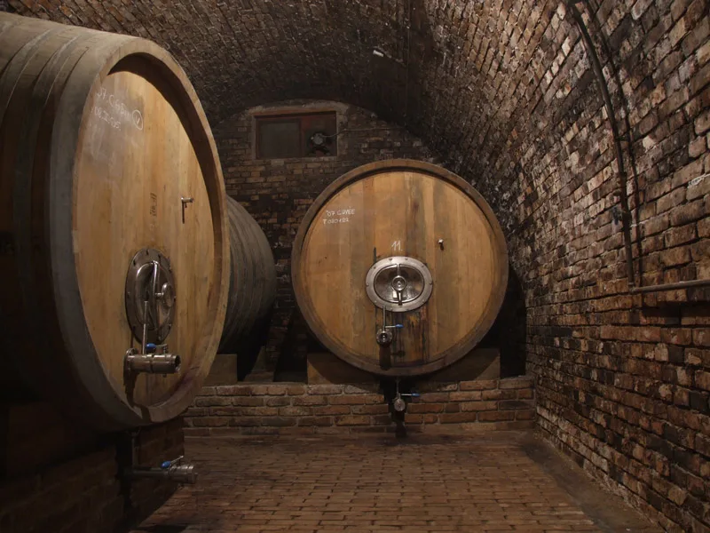 giant-barrels-in-grotto-800.jpg