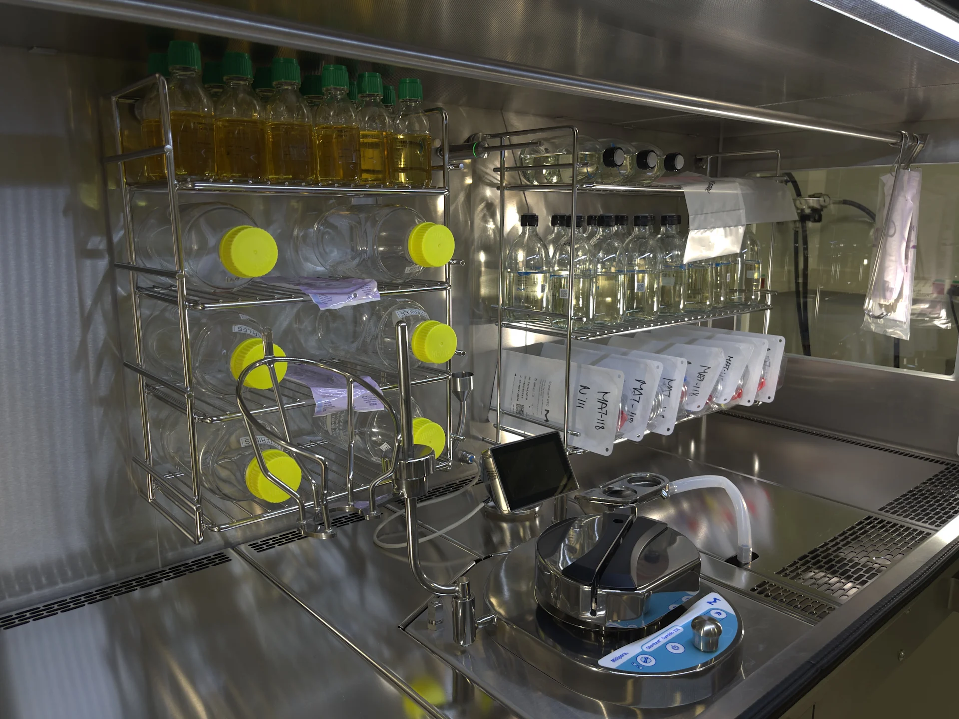 Sterility Image