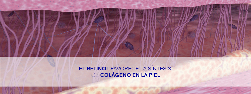 El_Retinol_favorece_la_sÃ_ntesis_de_colÃ_geno_en_la_piel.png