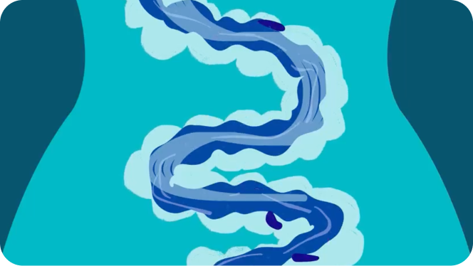 La ciencia detrás de FORTASEC®