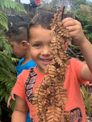 Photo of BestStart Primrose Street