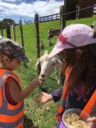 Photo of Country Kids