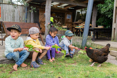 Photo of Papamoa Free Kindergarten