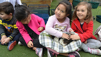 Photo of Lollipops Newton Road 